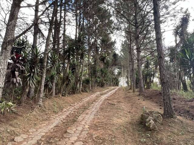 Área para Venda em Cotia - 5
