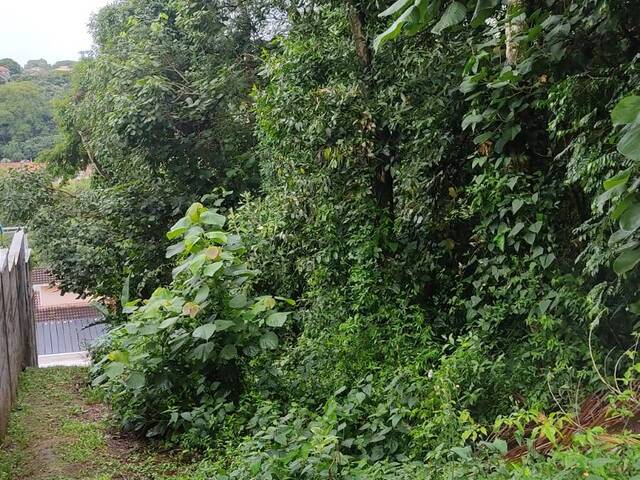 Área para Venda em Barueri - 5
