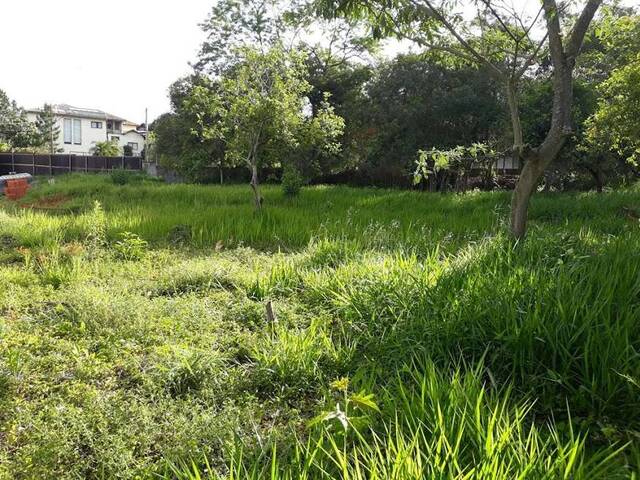 Área para Venda em Cotia - 5