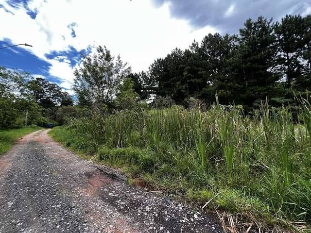 Bolsão FECHADO para Venda em Carapicuíba - 4
