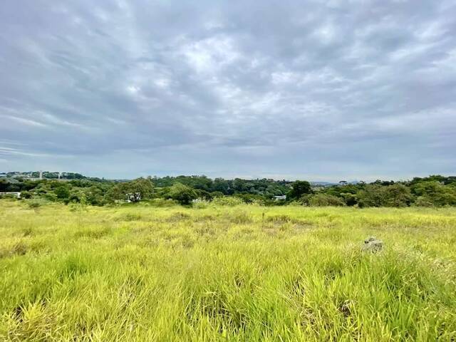 Terreno para Venda em Cotia - 5