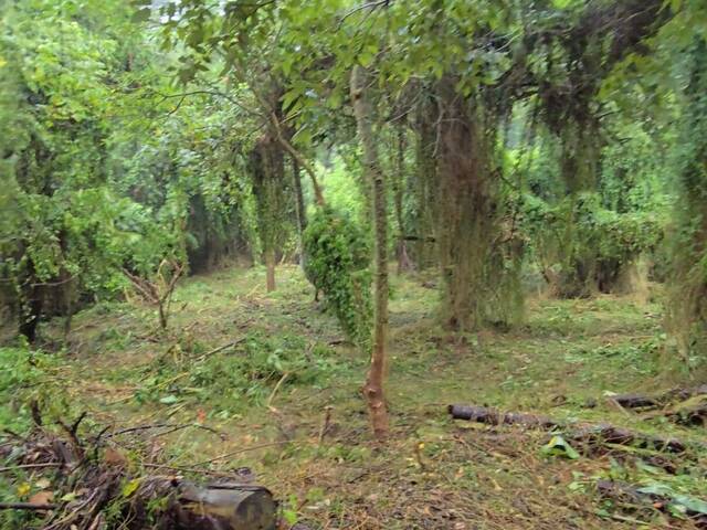 #2344 - Terreno em condomínio para Venda em Jandira - SP