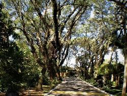 Terreno em condomínio para Venda em Cotia - 5